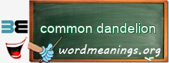 WordMeaning blackboard for common dandelion